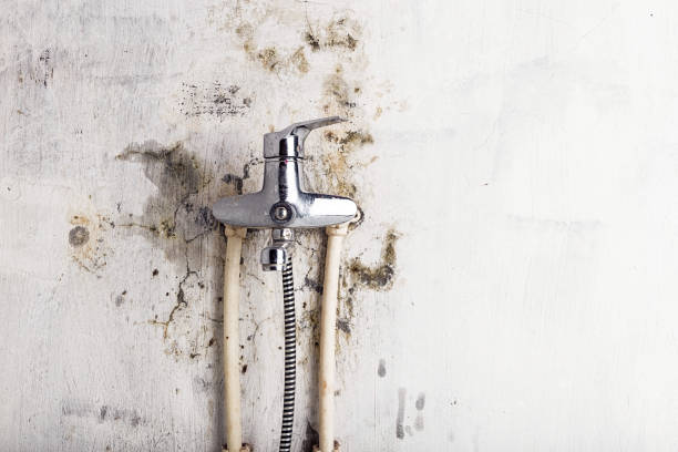 Best Post-Remediation Services in Mill Plain, CT