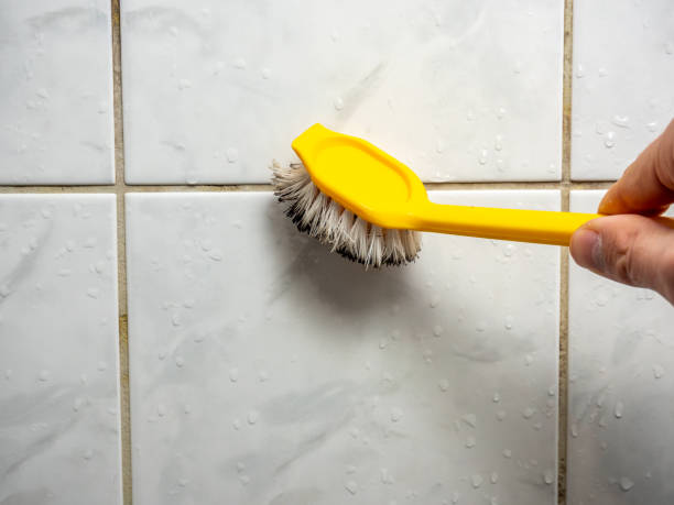 Best Emergency Mold Remediation in Mill Plain, CT