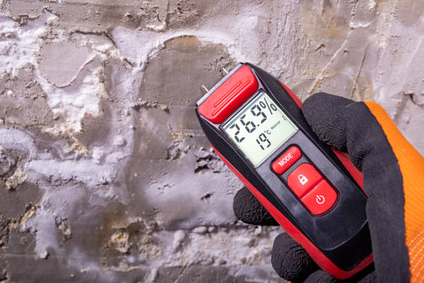 Best Basement Mold Remediation in Mill Plain, CT