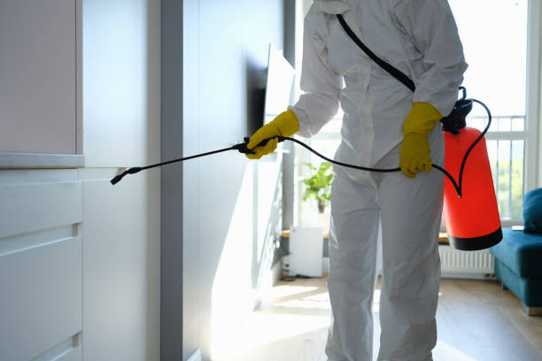 Best Kitchen Mold Remediation in Mill Plain, CT